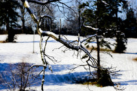 Snow